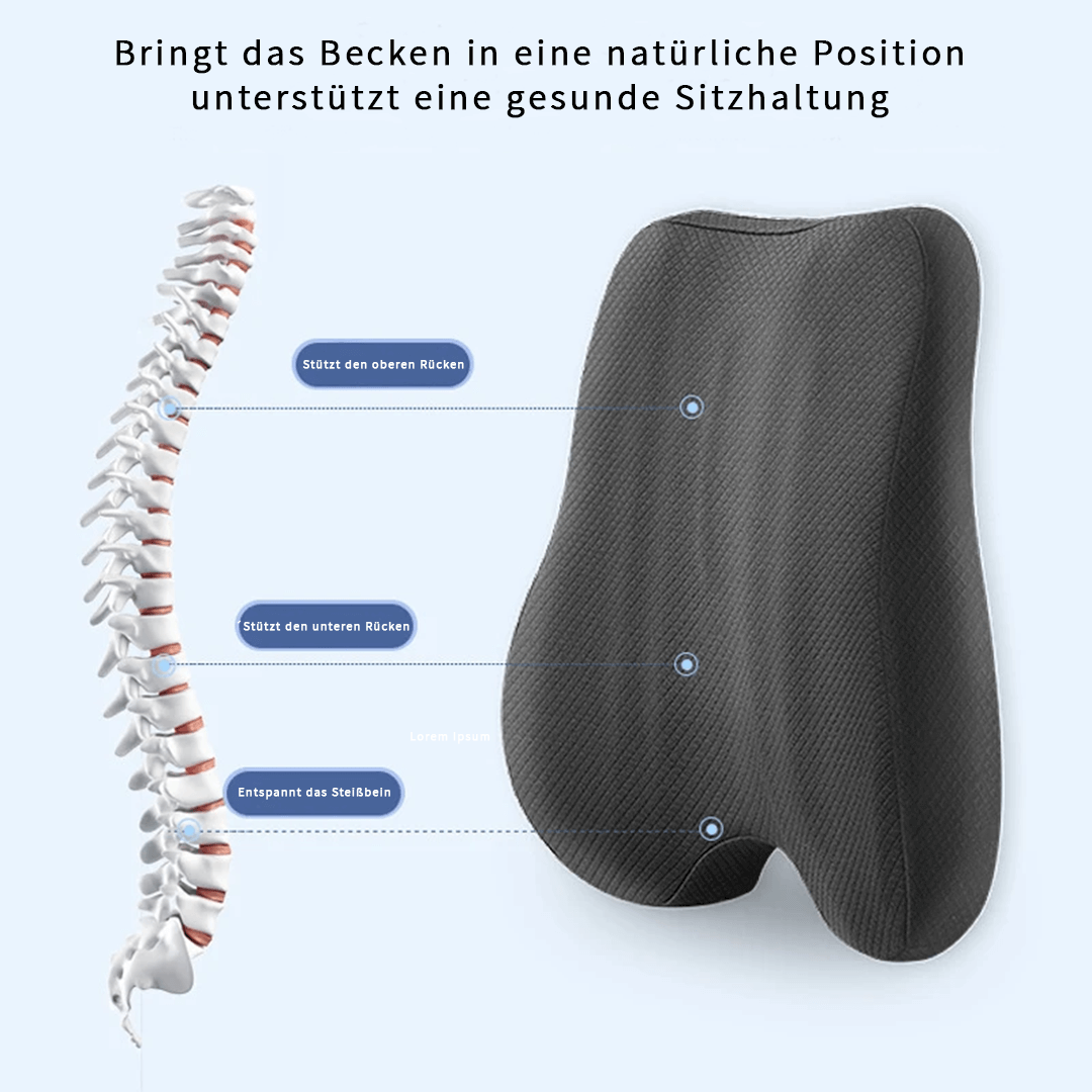 LENEYA HEAVENSEAT-effektiver Schutz für Deinen Rücken